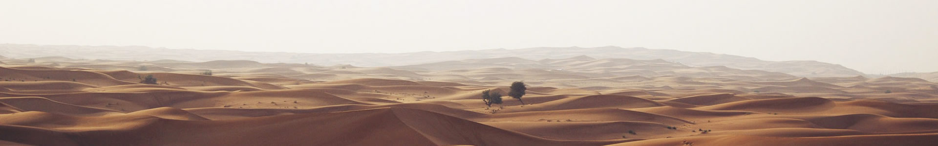 ݾƼ޹˾